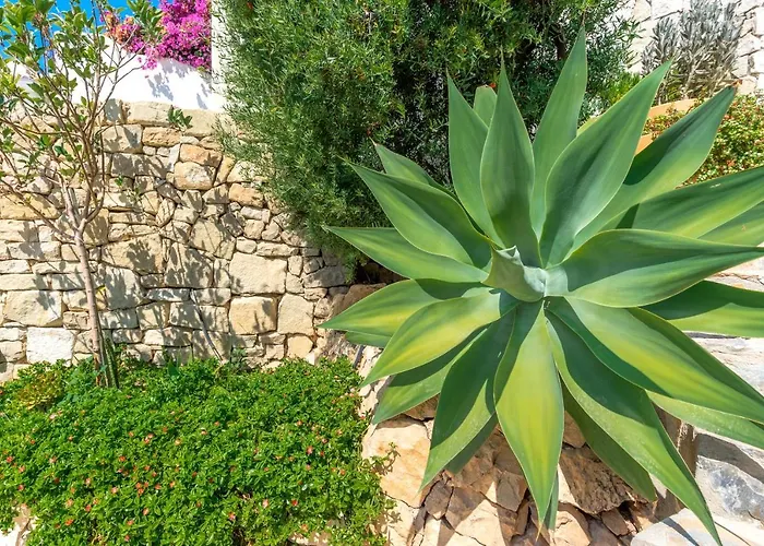 Maryvilla Inspiración Y Vacaciones - Mascarat Villa