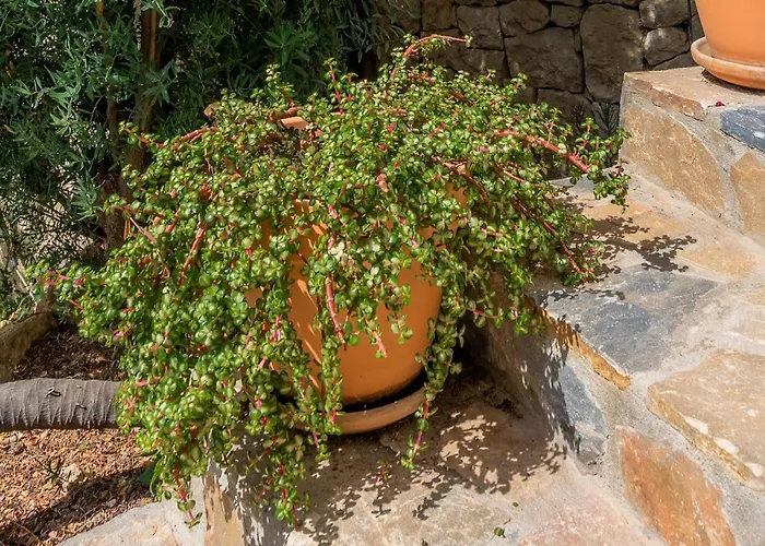 Maryvilla Inspiración Y Vacaciones - Mascarat