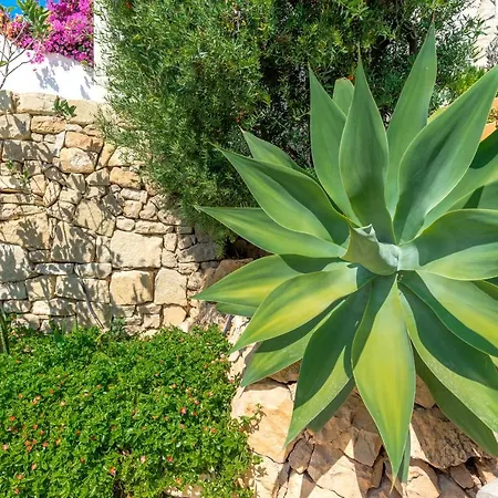 Maryvilla Inspiracion Y Vacaciones - Mascarat Villa