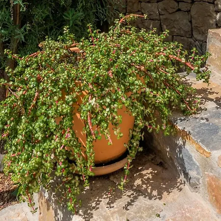 Maryvilla Inspiracion Y Vacaciones - Mascarat