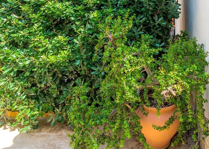 Maryvilla Inspiracion Y Vacaciones - Mascarat * Кальпе